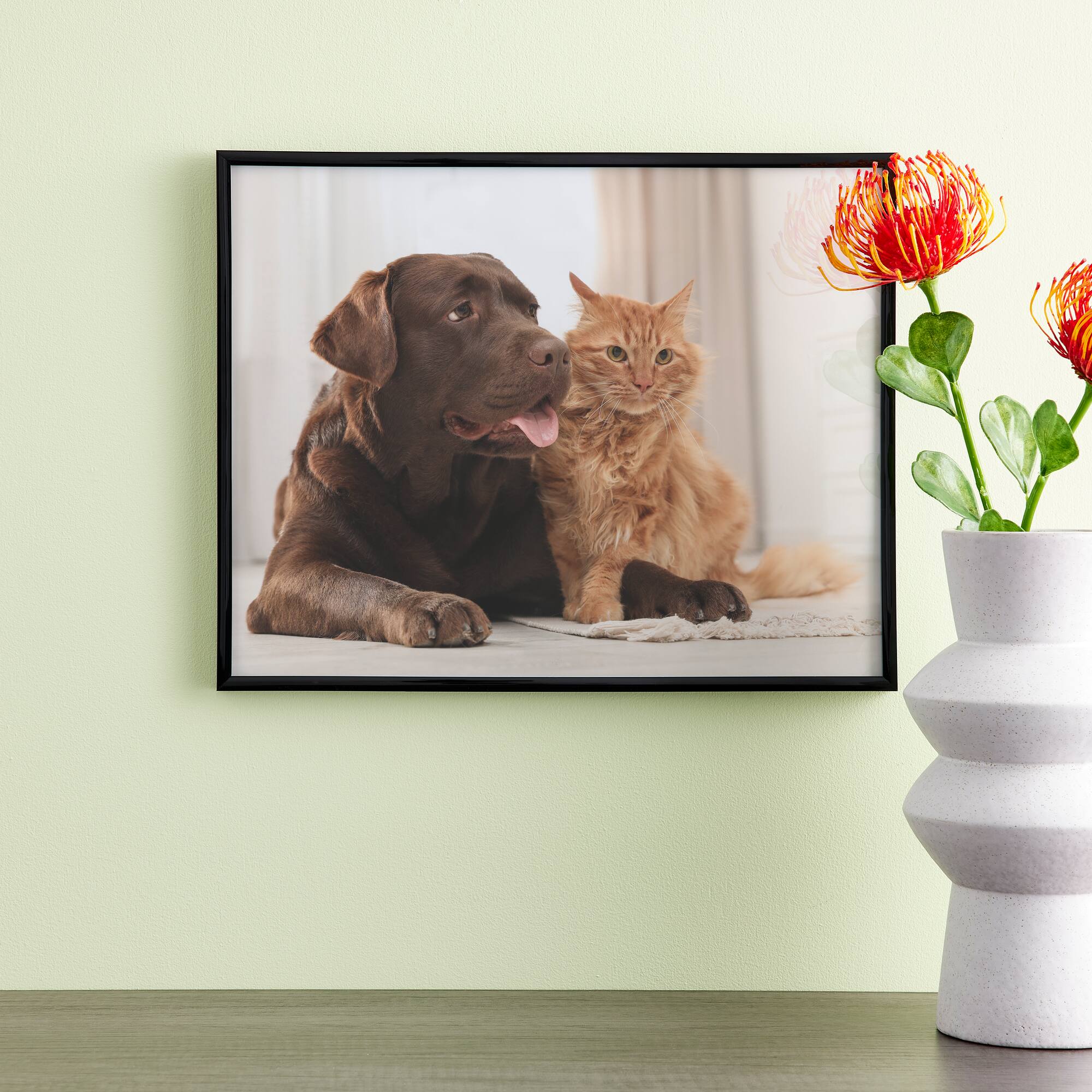 12 Pack: Black Multipurpose Frame